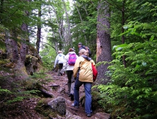  Nature tourism in the 77